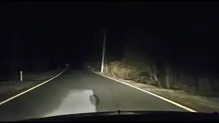 Утренний туман по дороге