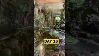 DAY 16 #21daychallenge #bali