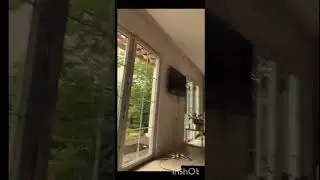 periscope live1968 vlog PRETTYGIRL💛💛 