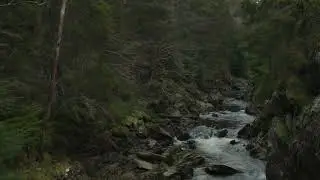 Swirly Stream of Consciousness | LSD visuals nature (Psychedelic pattern test)
