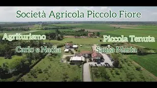 Scopri l'Agriturismo Carlo e Nadia a Vigevano: Tradizione e Natura nel Cuore del Parco del Ticino