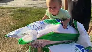 згадав, що є ще машинки😀