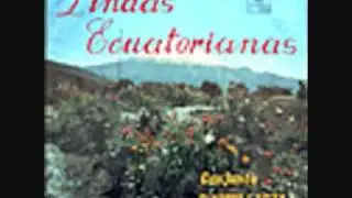 Conjunto Riminillacta - Shungo de Guarmi.wmv