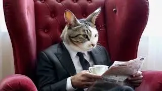 Кот/кролик аристократ пьёт чай.
