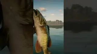 4lb Smallmouth rock bass  #shorts #bassfishing #fishing #rdr2online