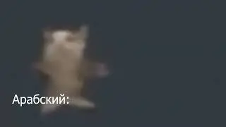 шни шна шнапи шнапи на разных языках
