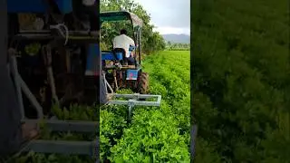 સનેડો... સાતી Sanedo mini tractor 🔥 #agriculture #satisfying #shot