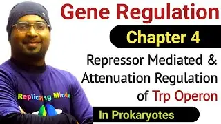 Gene Regulation - 4 || Trp Operon | Negative Regulation and Attenuation of Trp Operon | Sanjay Kumar