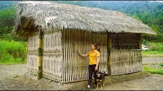Completing the bamboo house and harvesting sweet potato - Trieu Thi Lieu