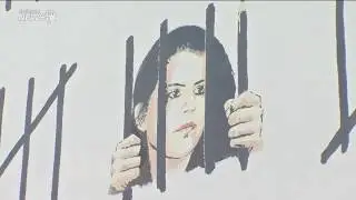 Banksy Paints Large Mural in Protest of Imprisonment of Zehra Dogan