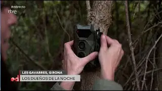 Fototrampeo y gineta en el programa España Directo de TV1