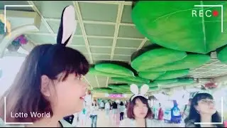 Lotte World Summer 2018 เที่ยวสวนสนุกล็อตเต้เวิลด์ #KoreaVlog