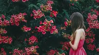nicebeatzprod-красный сарафан