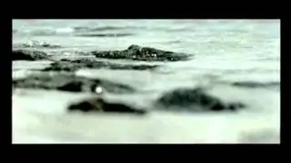 Centr-Noch(www.muzfilm.com).avi