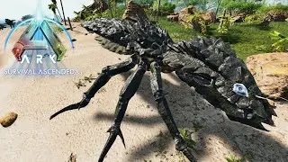 Masive Cockroach 