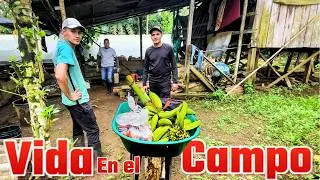 Así es la “VIDA EN EL CAMPO” en COLOMBIA 🇨🇴