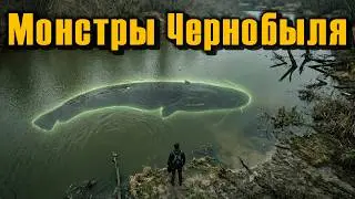Гигантские СОМЫ Чернобыля: 40 лет без людей — и вот что получилось