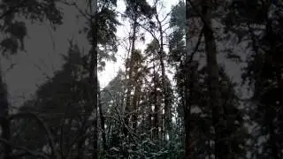 Spring Blizzard 2