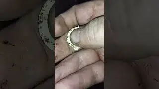 значок юный турист 