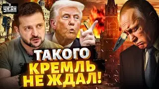 К такому жизнь Путина не готовила: Трамп экстренно обратился к РФ. Решающая встреча с Зеленским