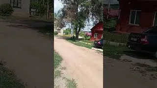 китайский квадроцикл #automobile #топ #motovlog #cc #альфа