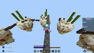 Playing Skywars