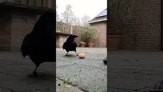 Опа! Я не понял...😁 