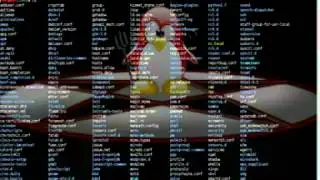 شرح تغيير hostname في نظام كالي لينوكس