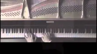 Ryuichi_Sakamoto koko