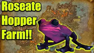 Roseate Hopper Pet Farm! | Dragonflight Pet Walkthrough