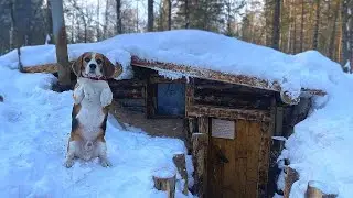 THE BEAST CAME TO THE DUGOUT. FROST -30 IN THE FOREST. WE SURVIVE