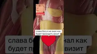 Решение. Уролог. Простатит. ￼