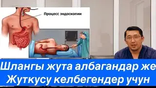 Гастроскопия (шланг жута албайм) дегендер учун! #гастроскопия #гастрит #гастроэнтеролог