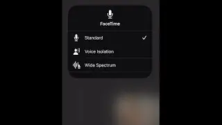 How to use Mic Mode on Online Meetings