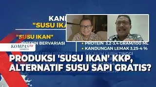 Susu Ikan dalam Program Makan Bergizi Gratis: Tanggapan DPR hingga Ahli Gizi