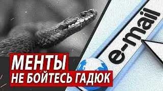 МЕНТЫ, НЕ БОЙТЕСЬ ГАДЮК | Журналистские расследования Евгения Михайлова
