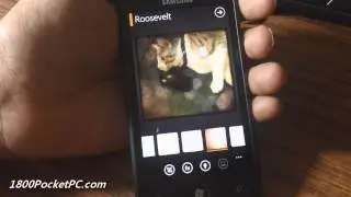 Lomogram: Instagram inspired app for Windows Phone