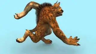 hyena run