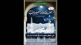 Ustaz Molana Shabbir Sb About Shagird Mufti Muhammad Hasan DB | @apnaanis