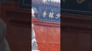 Shaolin temple, where Kungfu begins. Henan, where China begins! #china #henan #kungfu #shaolin