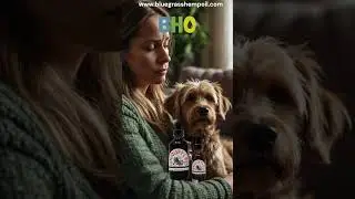 Dog Anxiety Supplements | CBD Oil for Pets Stress and Anxiety