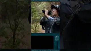 Нэнси Дрю и её фотоохота