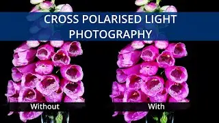 Cross Polarised Light Source Photography