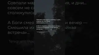не случайные встречи | стих 