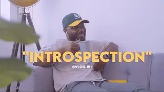 INTROSPECTION