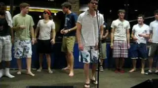 Hawkapella - Pokemon