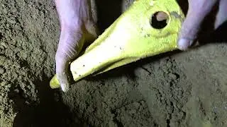 Shocking! The ancient coins I found in the backyard