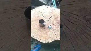 Кому 