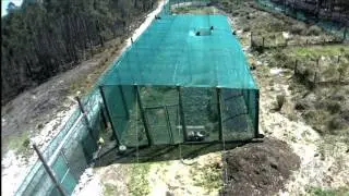 Baboons at Pofadderskloof
