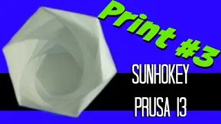 Print #3 | Spiral Vase